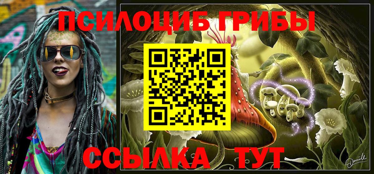 Узловая  Галлюциногенные грибы мицелий  Вход с VPN  Галлюциногенные грибы мицелий 